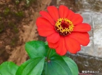 人到中年，把这两样东西经营好，等于在“赚钱”
