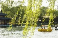 也 说 春 天