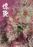 惊蛰：春回大地，田间正忙