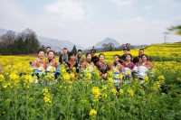 贵州纳雍：油菜花开 美景入画来
