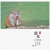 二十四节气童话之雨水篇（一） 獭祭鱼