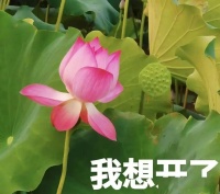隐性虐待：他们内心经历了多大的绝望？