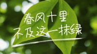 植树节|为世界增添一抹绿