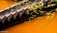 宋词里的春天，美了上千年