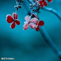 【古诗词鉴赏】宋代词人晏几道《临江仙 • 身外闲愁空满》词赏析