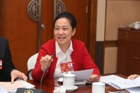 林蓝代表：携手港澳台推动中华文化“走出去”