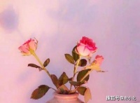 一个人的命好不好，重点不是看面相，而是看这两点