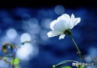 人活一世，不求大富大贵，但求心无杂念