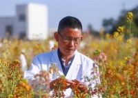 再添7色 江西高校研究员培育出63色油菜花