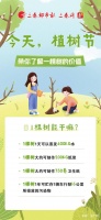 植树节：带你了解一棵树的价值