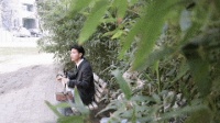 全球连线｜中华文化的“青春力量”：迷“国剧”，传唱“中国腔”