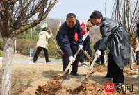 南邮师生把“红梅精神”种在心田