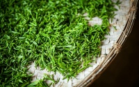 一件茶叶飙至1500万，比炒茅台还疯狂：“天价茶”背后，谁在推波助澜？