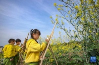 萌娃花海画菜花