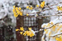 当冬天的余韵与春天撞个满怀