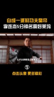 李连杰：自成一派的功夫皇帝，5分钟名震好莱坞李连杰