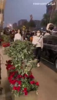 刘涛真的好好看，温柔的姐姐我好爱！