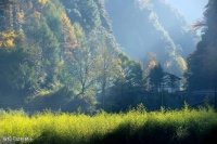 【古诗词鉴赏】宋 代诗人王安石《北山》诗赏析