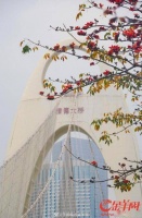 开往春天的广州红棉列车