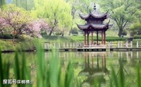 【古诗词鉴赏】唐代诗人戴叔伦《苏溪亭》诗赏析
