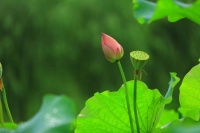 人这一生，皆是因果