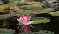 师纪：清明节到了，恰逢闰月可以上坟吗？李双林