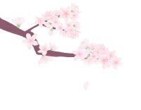今日春分 | 燕子来时春正好，家家户户农忙早
