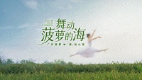 春分，舞动菠萝的海