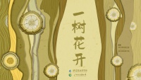 110余件展品亮相，北京自然博物馆邀观众领略“树文化”
