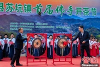 （乡约福建）福建永春：“佛手”开采