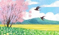 今日春分！白天终要比夜长！请家长把春分的知识讲给孩子听！