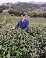 品鉴 | 春风催初芽 邀友品新茶