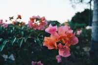 爸，我们打算换三居室，您给10万帮衬一下”父亲：我不和你拿钱就不错了