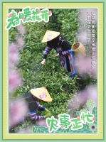 海报丨春暖花开 农事正忙