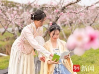 “桃气”盛峰，共赴春日桃花约