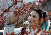 林黛玉怼过很多人，为什么妙玉说她是俗人，她没有怼回去？