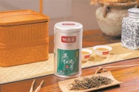 春分春韵品新茶