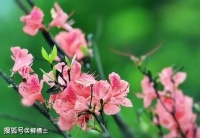 【满分作文 · 荐读】我们忘却的艰辛