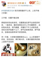 闰月清明不上坟，上坟祸事临门？假的，从没听说过这样的民俗