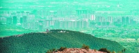 一座城与诗歌的深度纠缠