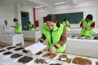 “最懂茶的人”诞生记：辨、沏、闻、品、观，五官齐上“硬核”评茶