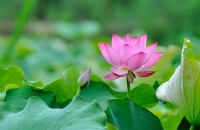 自带福气的人，懂得这三种避祸的方式