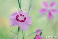 亲人离世后，不掉眼泪的人，往往有这些特征，并不是无情无义
