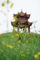 上游新闻带你看校花（11）丨重庆师范大学 熊彦茹摄影作品