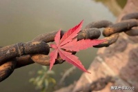 人过五十，最好的活法：心平气和，宽以待人，不计较得失