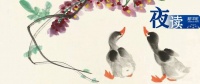 夜读 | 心怀大格局，过好小日子