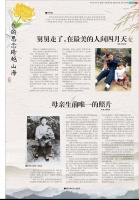 清明征文｜我的思念跨越山海