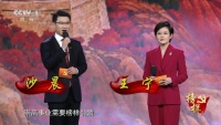 沙晨接替刚强，和王宁搭档主持专题节目，一本正经还是四两拨千斤
