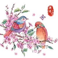 讨好就是内耗，做最好自己才是正道