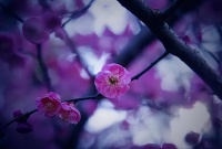 “你老婆凭什么不给我养老费，她收入那么高”男人：您放过我们吧